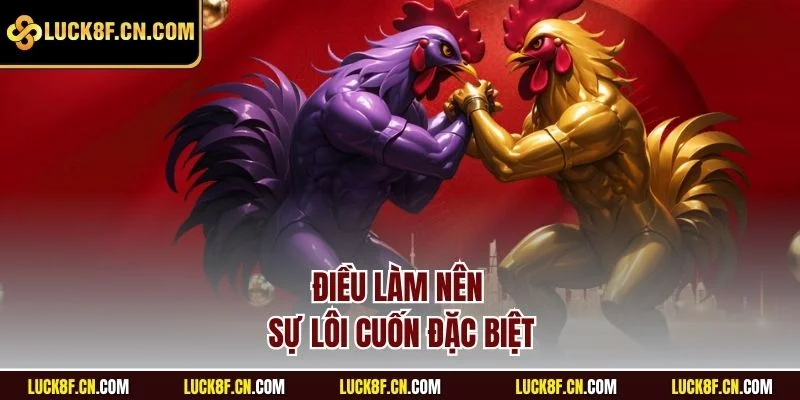 Điều làm nên sự lôi cuốn đặc biệt